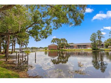 Picturesque waterfront view with a tranquil lake and serene landscape creating an idyllic setting at 13751 Juniper Blossom Dr, Tampa, FL 33618
