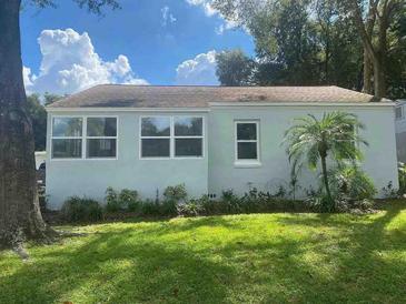 Side view of the cozy house with a green lawn, featuring multiple windows and a small palm tree at 1221 E Hamilton Ave, Tampa, FL 33604