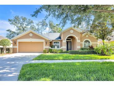 Charming single-story home with a well-manicured lawn and a two-car garage at 311 Parsons Woods Dr, Seffner, FL 33584