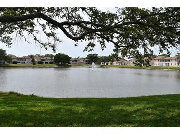 Scenic lake view featuring a fountain, lush greenery, and well-maintained residential buildings at 3861 Sailmaker Ln # 3861, Holiday, FL 34691