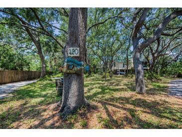 Quaint home nestled among mature trees with a whimsical fish-shaped address plaque at 420 Hanby St, Crystal Beach, FL 34681