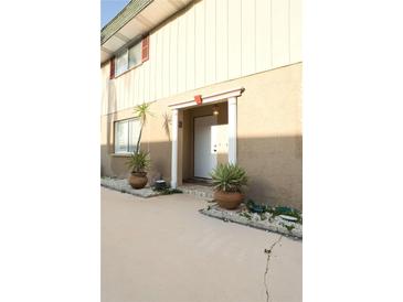 Inviting condo entrance features potted plants and a well-lit doorway at 300 6Th N St # E3, Safety Harbor, FL 34695