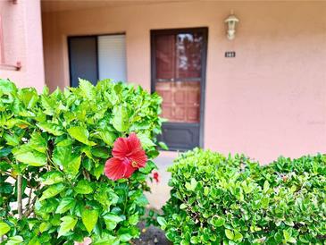 Charming condo entrance framed by lush greenery and vibrant hibiscus, creating a welcoming curb appeal at 141 Lakeside Dr, Oldsmar, FL 34677