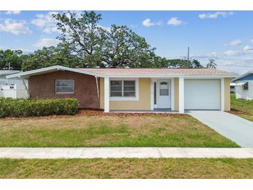 Charming single-story home with a lush front lawn, inviting entryway, and attached garage at 5033 Tammy Ln, Holiday, FL 34690