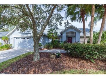 Charming single-story home features lush landscaping and an attached two-car garage at 9220 Dayflower Dr, Tampa, FL 33647