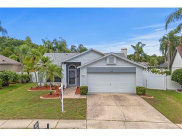 Charming single-story home featuring a well-maintained lawn, mature palm trees, and a two-car garage at 11619 Fox Creek Dr, Tampa, FL 33635