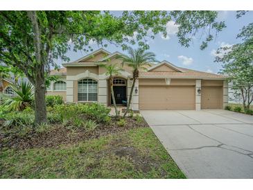 Charming single-story home featuring a three-car garage and tropical landscaping at 5317 Pagnotta Pl, Lutz, FL 33558