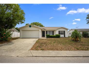 Charming single-story home with a well-maintained front yard and a two-car garage at 8246 Westfield Dr, Port Richey, FL 34668