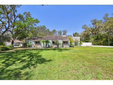 Charming single-story home with a well-manicured lawn and mature trees in a serene setting at 11203 Killearn Ct, Riverview, FL 33569