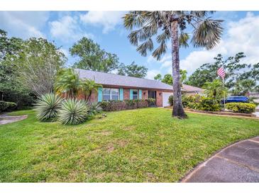 Charming single-story brick home with well-manicured lawn and tropical landscaping at 3224 Hilary Cir, Palm Harbor, FL 34684