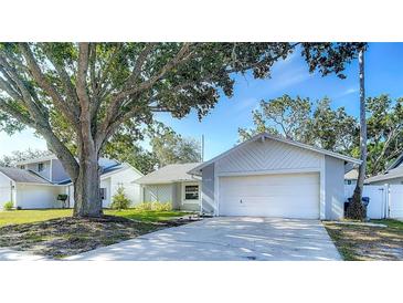 Charming one-story home with a well-manicured lawn and mature tree at 2707 Lakeville Dr, Tampa, FL 33618