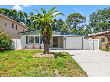 Charming single-story home with a well-manicured lawn, beautiful palm tree, and inviting curb appeal at 3317 W Iowa Ave, Tampa, FL 33611
