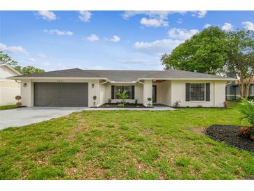 Charming single-story home with painted brick, updated landscaping, and attached two-car garage at 3205 Pleasant Lake Dr, Tampa, FL 33618