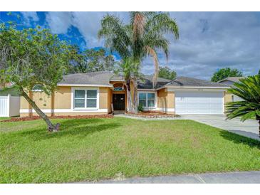 Charming single-story home with a well-maintained lawn and mature palm trees adding curb appeal at 2020 Elk Spring Dr, Brandon, FL 33511