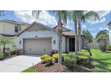 Charming single-Gathering home featuring a two-car garage, well-kept landscaping, and a welcoming front entrance at 4063 Medicci Ln, Wesley Chapel, FL 33543