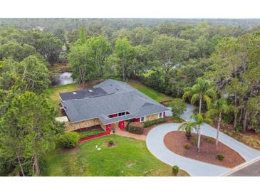 Beautiful aerial view of house with lush landscaping, circular driveway, and pond at 6703 Towhe Dr, Seffner, FL 33584