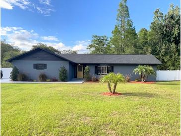 Charming single-story home with a well-maintained lawn, mature trees, and black trim at 17933 Eagle Ln, Lutz, FL 33558