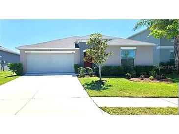 Charming single-story home featuring a well-manicured lawn and a spacious two-car garage at 11524 Sage Canyon Dr, Riverview, FL 33578