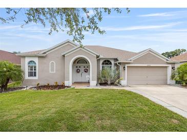 Charming single-story home featuring a well-manicured lawn and an attached two-car garage at 25942 Risen Star Dr, Wesley Chapel, FL 33544