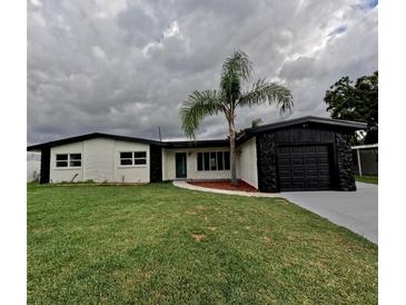 Charming single-story home with a well-manicured lawn and decorative palm tree in the front yard at 4434 Bass St, Tampa, FL 33617