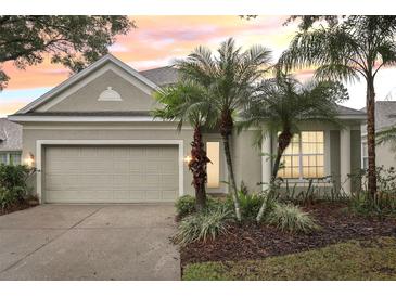 Charming single-story home featuring a well-manicured lawn, two-car garage, and tropical landscaping at 9329 Huntington Park Way, Tampa, FL 33647