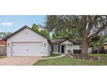 Charming single-story home with a well-maintained lawn and mature shade tree at 1010 Elm Grove Ln, Valrico, FL 33596