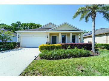 Charming single-story home featuring a well-manicured lawn, landscaping, and a two-car garage at 11252 Merganser Way, New Port Richey, FL 34654