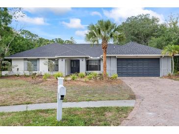Charming one story home featuring grey brick, a brick driveway, landscaping, and a mailbox at 16014 Amberly Dr, Tampa, FL 33647