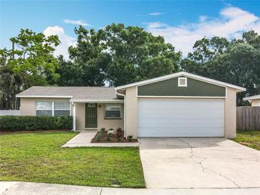 Charming single-story home with a well-manicured lawn, mature trees, and a two-car garage at 6521 Cedarbrook S Dr, Pinellas Park, FL 33782