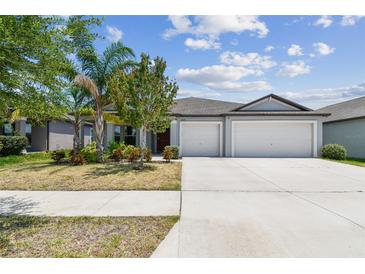 Charming single-story home featuring a spacious driveway and well-maintained landscaping at 10822 Crushed Grape Dr, Riverview, FL 33578
