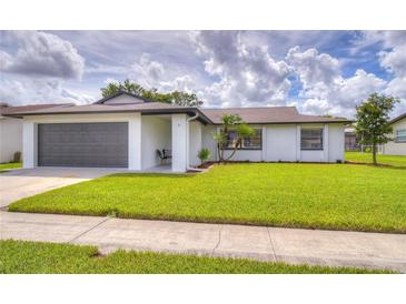 Charming single-story home with a well-manicured lawn and a gray two-car garage at 11520 Bear Paw Ln, Port Richey, FL 34668
