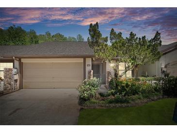 Charming home featuring an attached garage, well-maintained landscaping, and mature trees at 3923 Shoreside Cir, Tampa, FL 33624