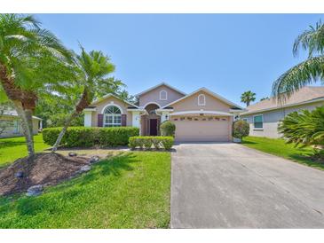 Charming single-story home featuring a well-manicured lawn and tropical palm trees at 14502 Pond Cypress Way, Tampa, FL 33626