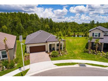 Stunning aerial view of a single Gathering home with a tile roof, and green lawn in a desirable neighborhood at 17263 Mango Shay Ct, Land O Lakes, FL 34638