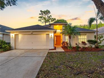 Charming single-story home featuring a two-car garage, well-lit entrance, and mature landscaping in a serene neighborhood at 13409 Fawn Springs Dr, Tampa, FL 33626