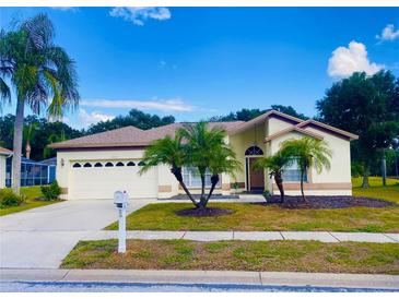 Charming single-story home with a well-manicured front yard and mature palm trees on a sunny day at 19709 Wyndham Lakes Dr, Odessa, FL 33556