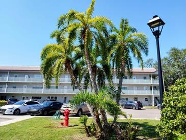 Well-maintained condo building featuring multiple stories and a beautiful landscaped yard with tropical palm trees at 2261 Swedish Dr # 59, Clearwater, FL 33763