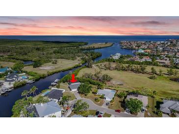 Waterfront home with pool boasts Gulf access and picturesque views of the surrounding landscape at 925 Eagle Ln, Apollo Beach, FL 33572