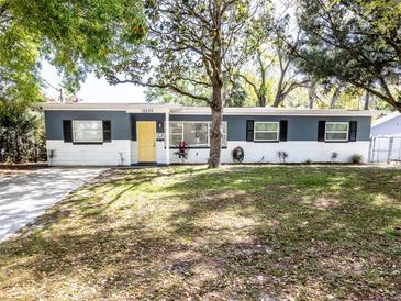 Charming single-story home with a yellow front door, beautiful lawn, and mature trees at 10233 N Valle Dr, Tampa, FL 33612