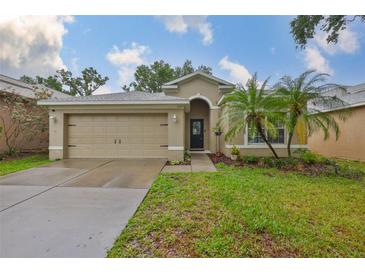 Charming single-story home featuring a well-maintained lawn, palm trees, and a two-car garage at 1129 Emerald Hill Way, Valrico, FL 33594