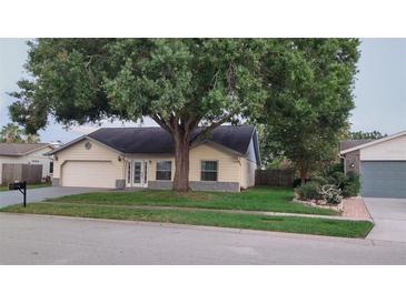 Charming single-story home with a large tree and well-maintained lawn at 11217 Fiddlewood Dr, Riverview, FL 33579