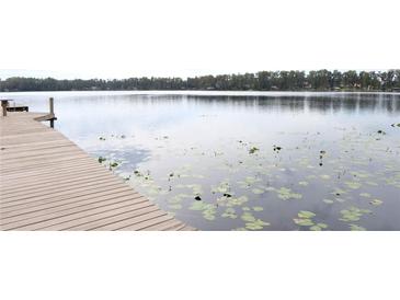 Picturesque lake view from the dock showcasing serene water and lush greenery at 6160 Fitzgerald Road, Odessa, FL 33556