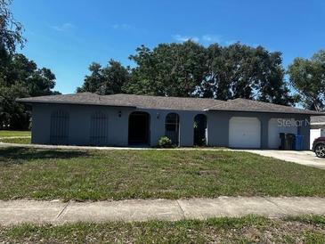 Charming one-story home featuring an attached two-car garage and mature landscaping on a sunny day at 213 Mahogany Dr, Seffner, FL 33584