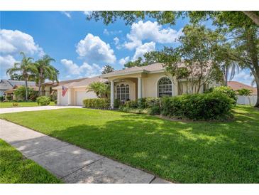 Charming single-story home with well-maintained landscaping and a spacious front yard on a sunny day at 627 Belted Kingfisher N Dr, Palm Harbor, FL 34683