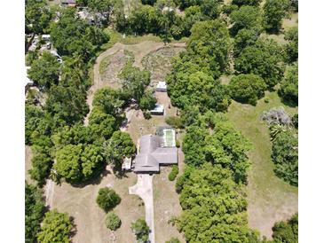 Expansive aerial view showcasing the home's secluded lot, pool, and lush landscaping at 17830 Simmons Rd, Lutz, FL 33548