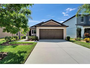Inviting single-Gathering house boasting manicured lawn, a spacious driveway, and attached two-car garage at 11121 Hudson Hills Ln, Riverview, FL 33579