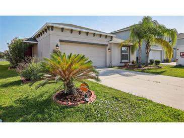 Charming single-story home with a well-manicured lawn, palm trees, and a two-car garage at 10326 Boggy Moss Dr, Riverview, FL 33578