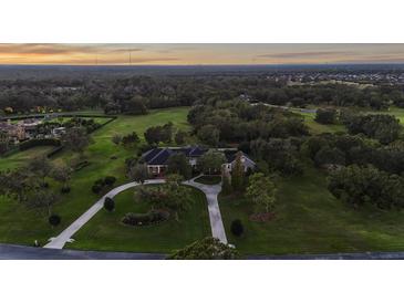 Expansive estate featuring manicured grounds, mature trees, and a long driveway leading to the grand home at 11441 Hammock Oaks Ct, Lithia, FL 33547
