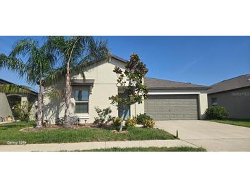 Charming home with a well-maintained lawn, mature palm trees and a two car garage at 4433 Eternal Prince Dr, Sun City Center, FL 33573