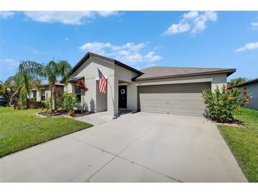 Charming single-story home with a well-maintained lawn and inviting curb appeal at 5043 White Chicory Dr, Apollo Beach, FL 33572